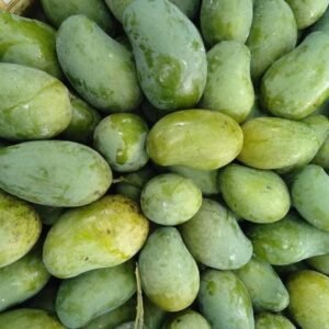 আম্রপালি আম (১১ কেজি) মূল্য: ১,২৫০ টাকা